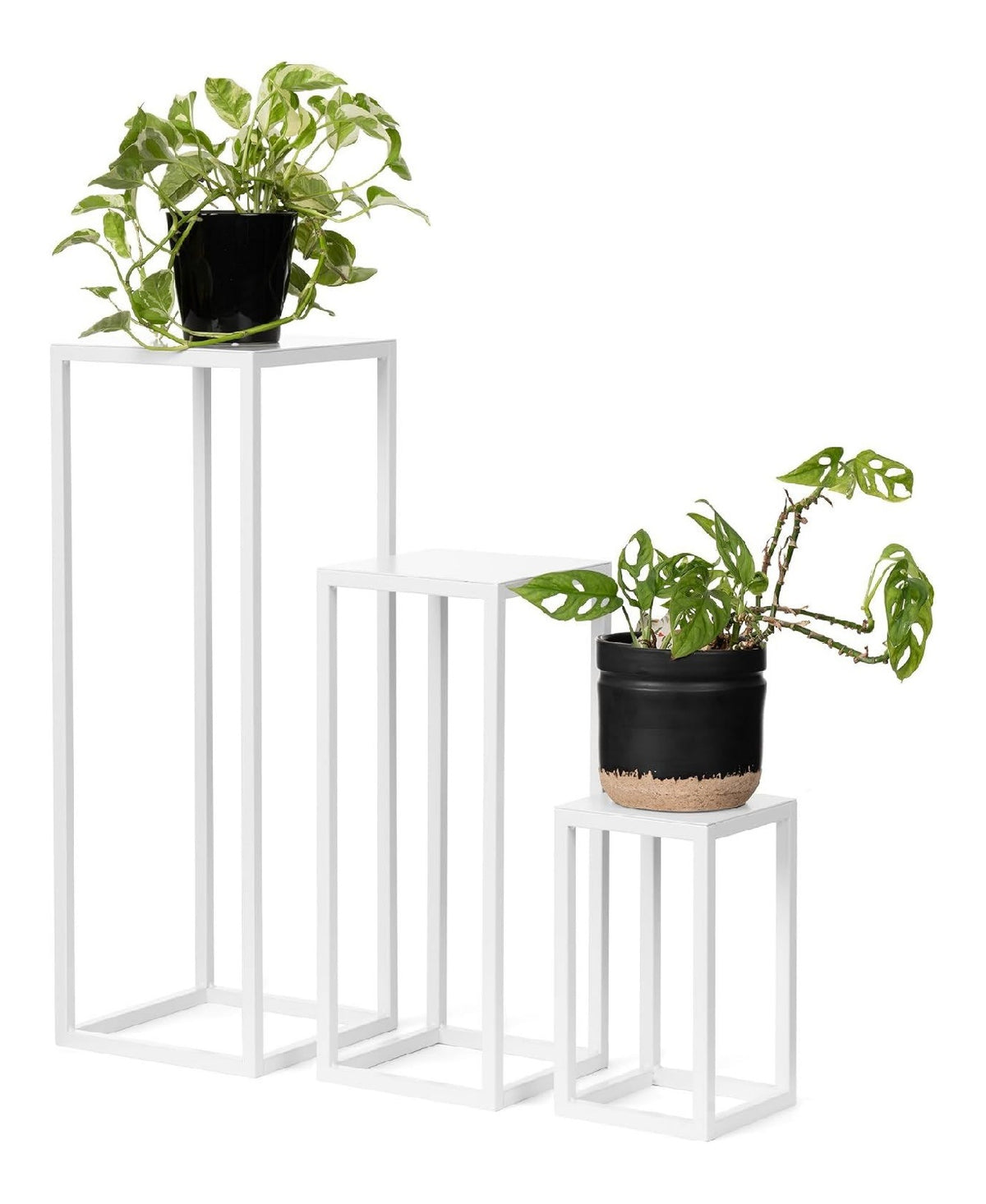 Scaffali porta piante set supporti decorativi facilita 28 cm 48 cm