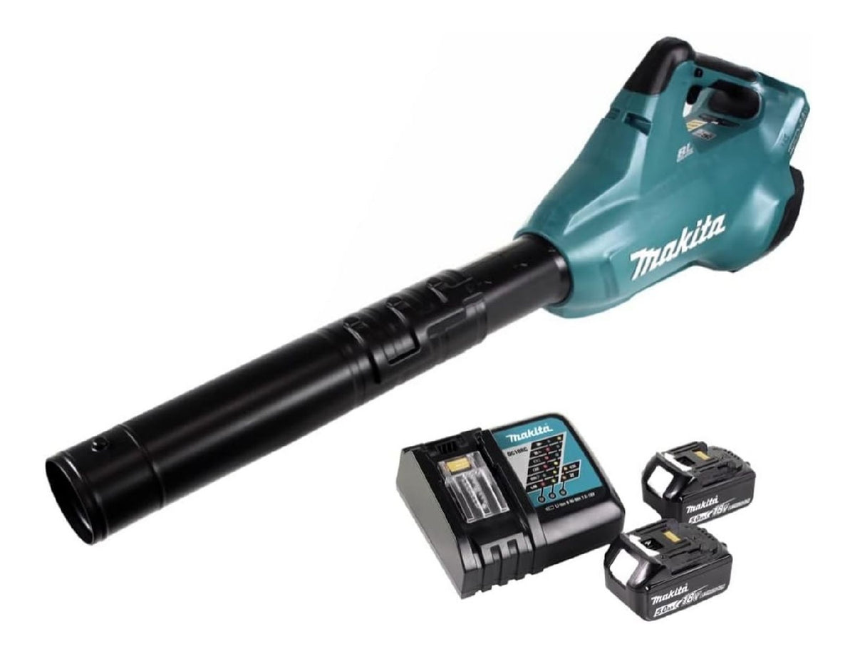 Ecologico conveniente Ideale l'uso per giardino, Caricatori 18 V