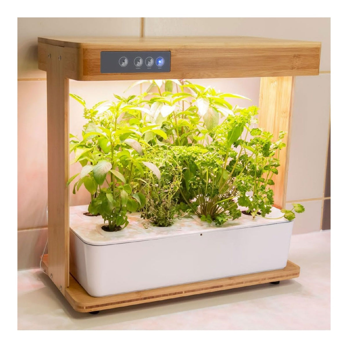 Tende idroponiche orti combinano naturale efficienza 393 mm